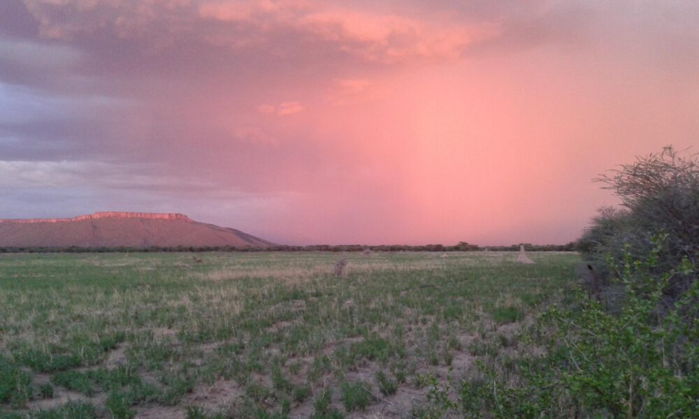Choral Evensong zum Frühlingsbeginn